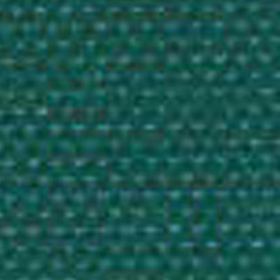 Odyssey 490 Teal